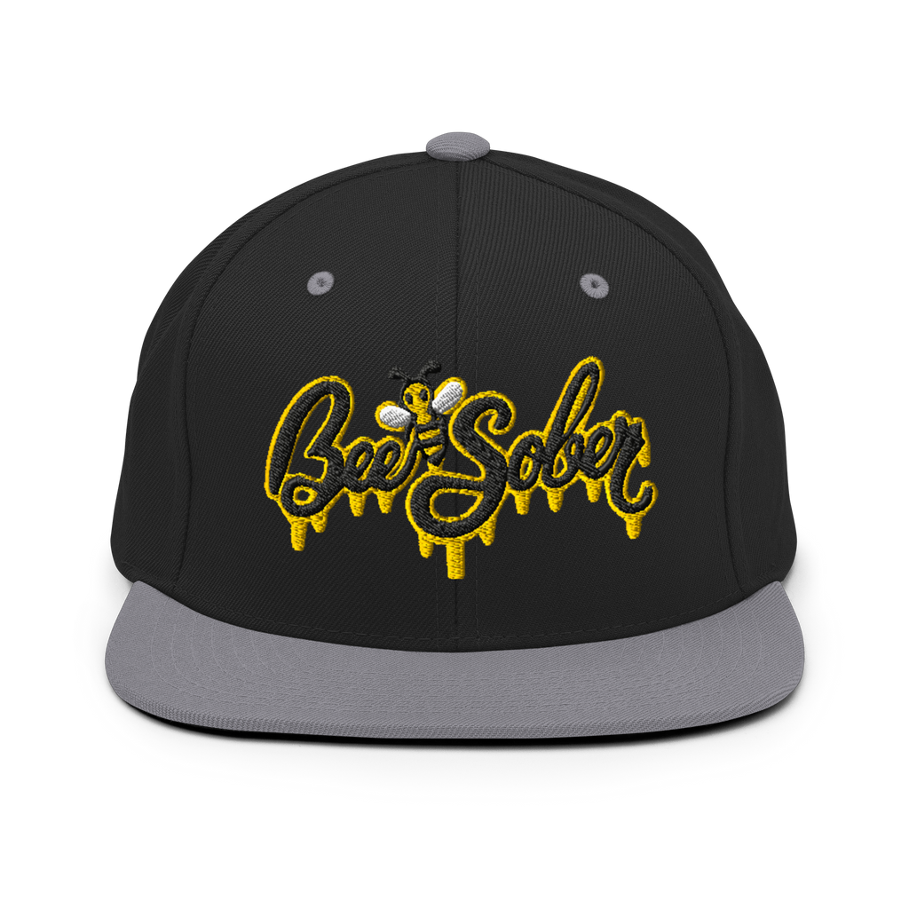 Bee Sober Snapback in Black Silver, front view
