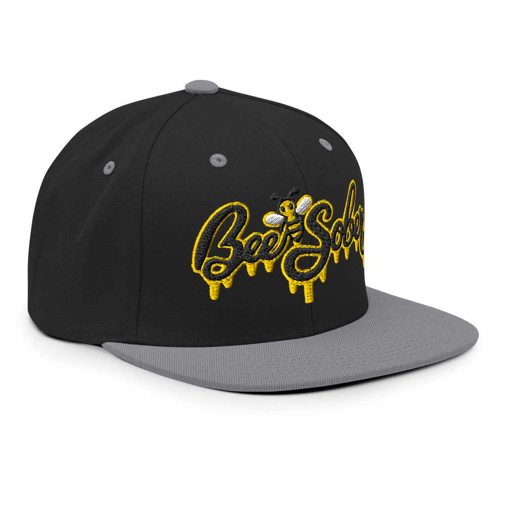 Bee Sober Snapback in Black Silver, front-right view