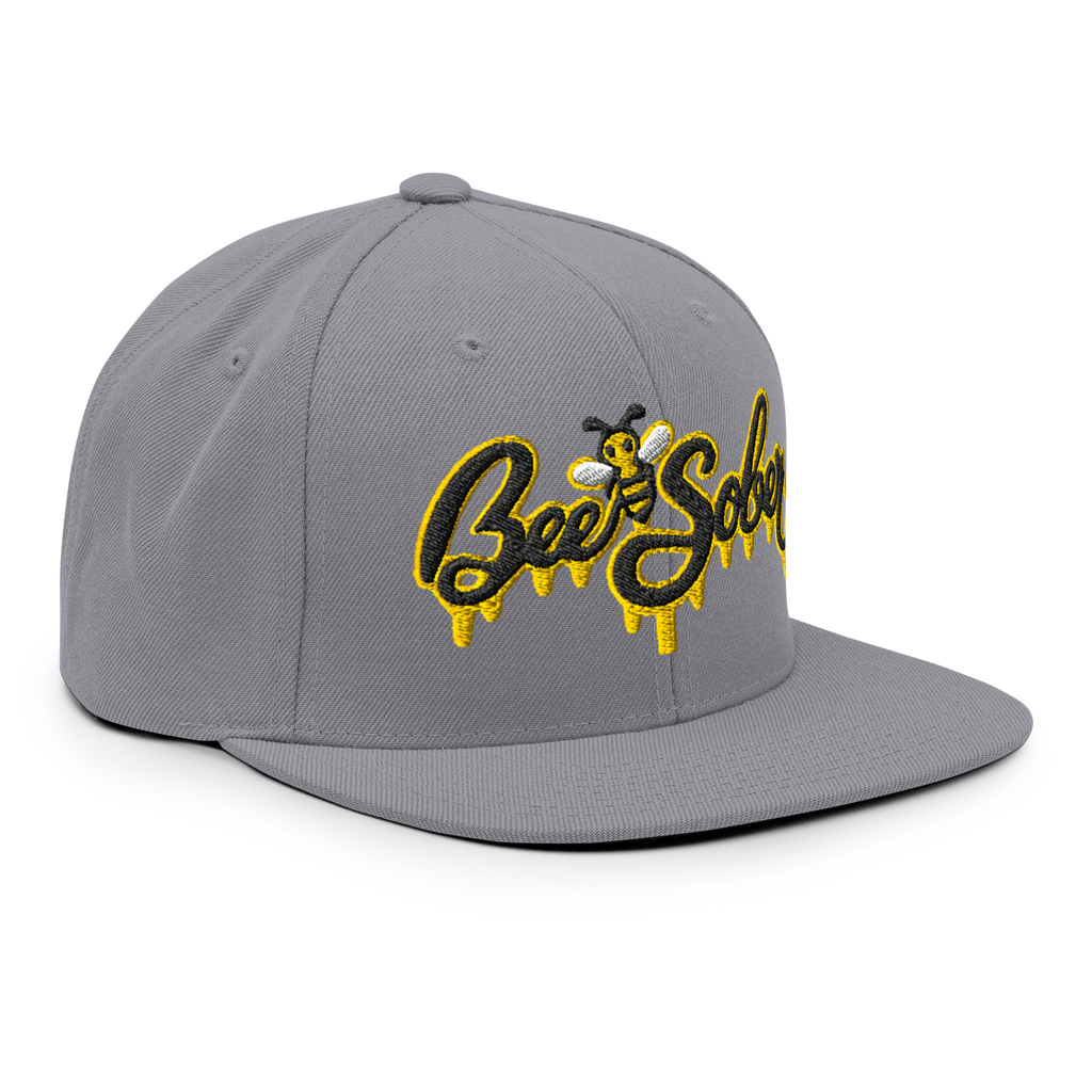 Bee Sober Snapback in Silver, front-right view